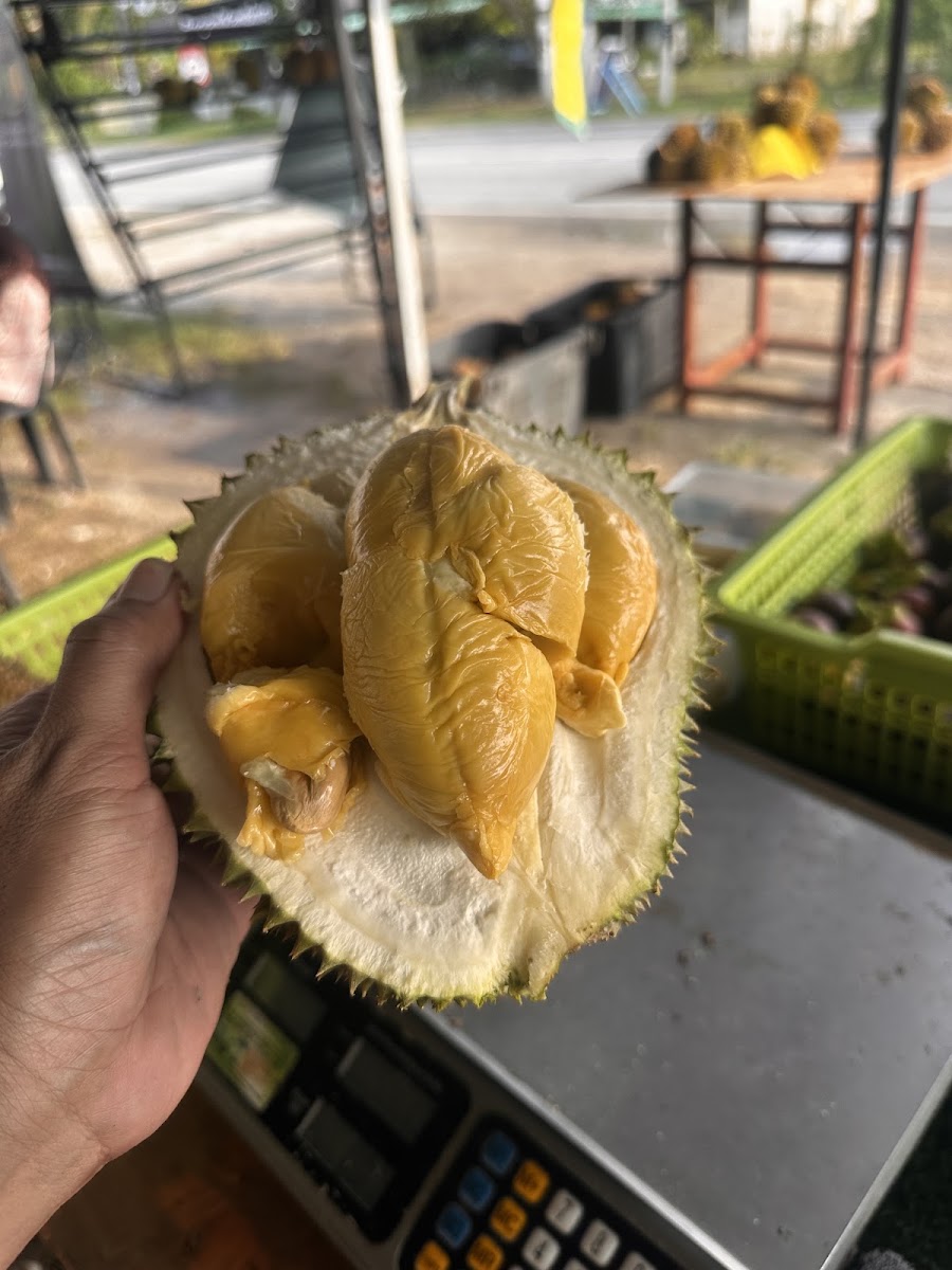 Isi durian premium Bernam Valley
